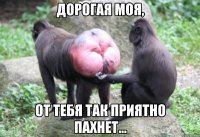 дорогая моя, от тебя так приятно пахнет...