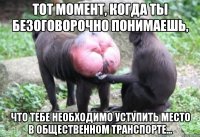 тот момент, когда ты безоговорочно понимаешь, что тебе необходимо уступить место в общественном транспорте...