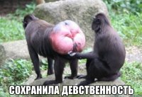  сохранила девственность