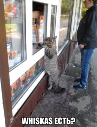  whiskas есть?