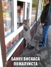  банку вискаса пожалуйста