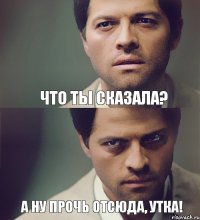 Что ты сказала? А ну прочь отсюда, УТКА!
