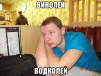 винолей водколей