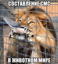 составление смс в животном мире