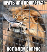 жрать или не жрать?! вот в чём вопрос