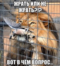 жрать или не жрать?!? вот в чём вопрос...