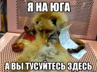 я на юга а вы тусуйтесь здесь
