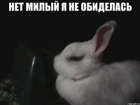 нет милый я не обиделась 