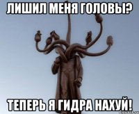 лишил меня головы? теперь я гидра нахуй!
