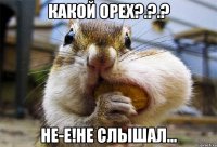 какой орех?.?.? не-е!не слышал...