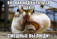 вот как надо брать за щеку! смешные вы,люди!