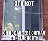 это кот он подал тебе сигнал бдительности
