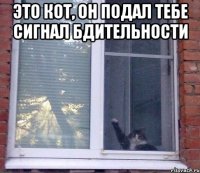 это кот, он подал тебе сигнал бдительности 