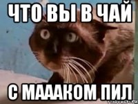 что вы в чай с маааком пил