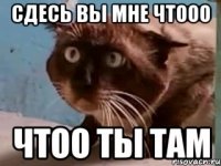 сдесь вы мне чтооо чтоо ты там