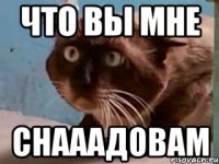 что вы мне снааадовам