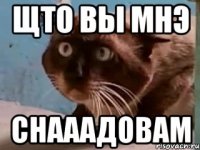 щто вы мнэ снааадовам