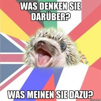 was denken sie darüber? was meinen sie dazu?