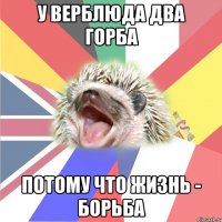 у верблюда два горба потому что жизнь - борьба