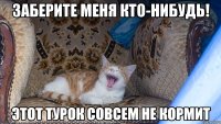 заберите меня кто-нибудь! этот турок совсем не кормит