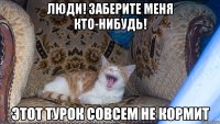 люди! заберите меня кто-нибудь! этот турок совсем не кормит
