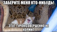 заберите меня кто-нибудь! этот турок совершенно не кормит