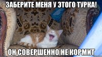 заберите меня у этого турка! он совершенно не кормит