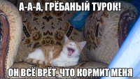 а-а-а, грёбаный турок! он всё врёт, что кормит меня