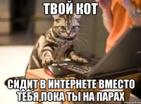 твой кот сидит в интернете вместо тебя,пока ты на парах