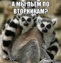 а мы пьём по вторникам? 
