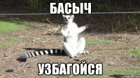 басыч узбагойся
