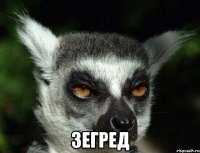  зегред