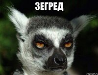 зегред 