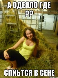 а одеяло где ?? спиьтся в сене