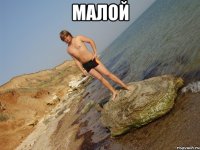 малой 