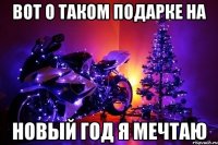 Вот о таком подарке на Новый Год я мечтаю
