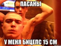 пасаны у меня бицепс 15 см