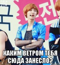  каким ветром тебя сюда занесло?