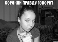 сорокин правду говорит 