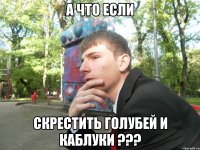 А что если скрестить голубей и каблуки ???