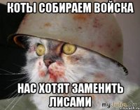 коты собираем войска нас хотят заменить лисами