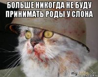 больше никогда не буду принимать роды у слона 