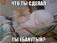 Что ты сделал Ты ебанутый?