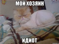 мой хозяин идиот