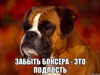  забыть боксёра - это подлость