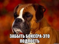  забыть боксёра-это подлость