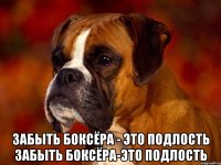  забыть боксёра - это подлость забыть боксёра-это подлость