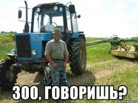  300, говоришь?