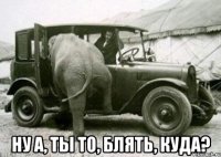  ну а, ты то, блять, куда?