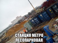  станция метро лесопарковая